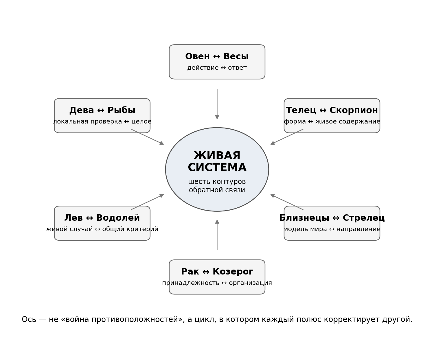 Шесть осей как шесть контуров, необходимых сложной живой системе.